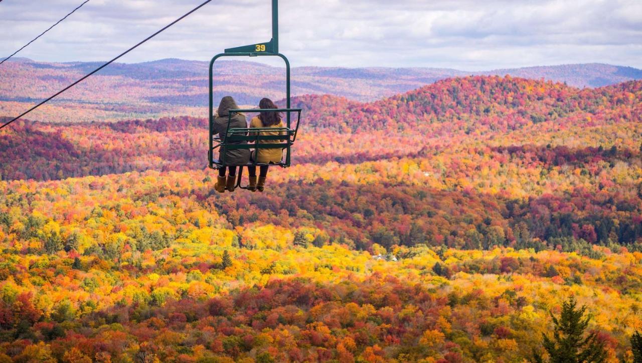 Lodge Adirondack